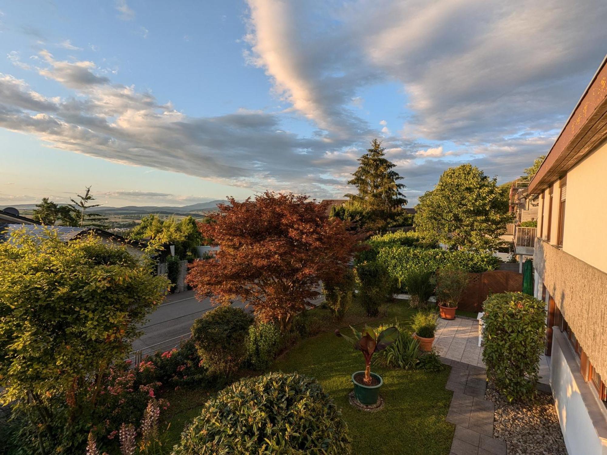 Schwarzwaldblick Apartment Weil am Rhein